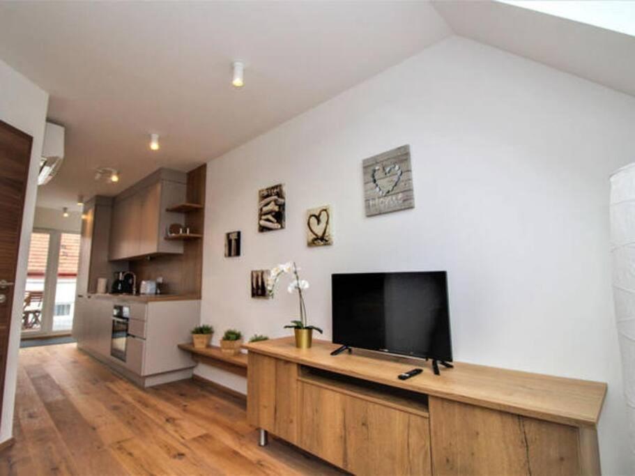 Luxury 2-Floor Rooftop Apartment With Terrace In The City Center 비엔나 외부 사진
